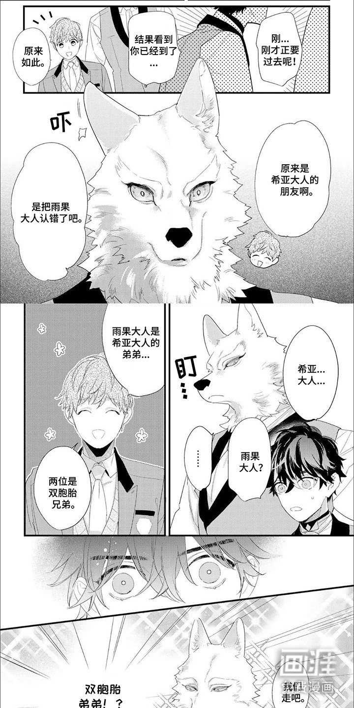 第10章：双胞胎