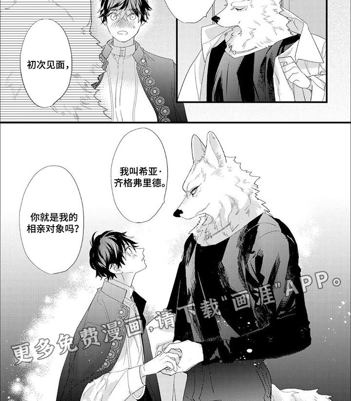 第3章：相亲对象