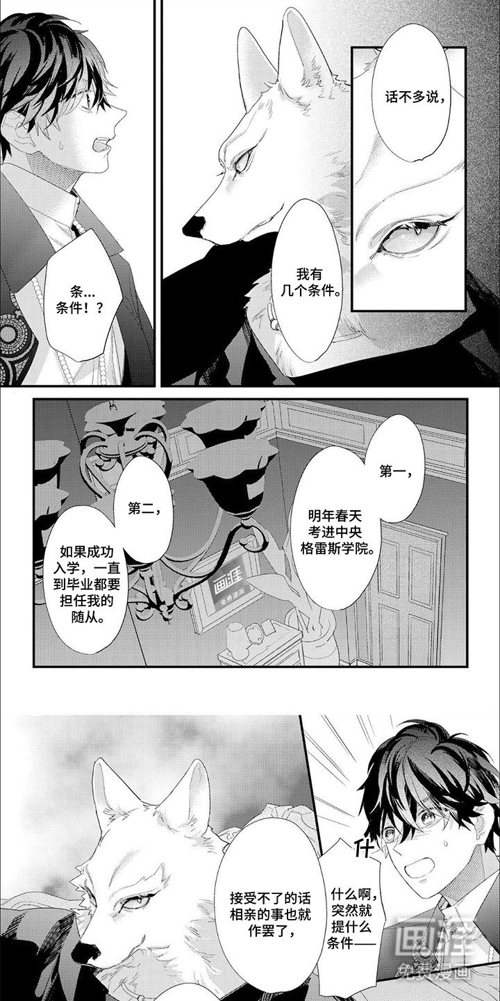 第4章：条件
