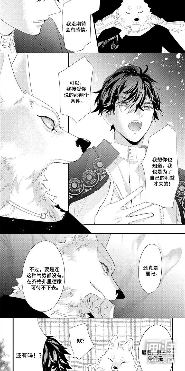 第4章：条件