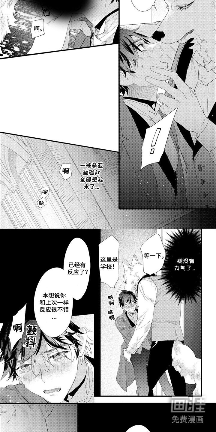 第8章：伪装情侣