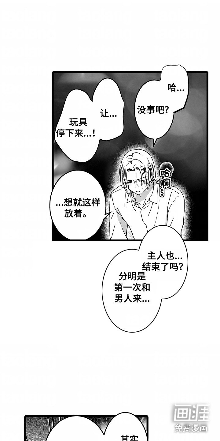 第3章：眼神纯净