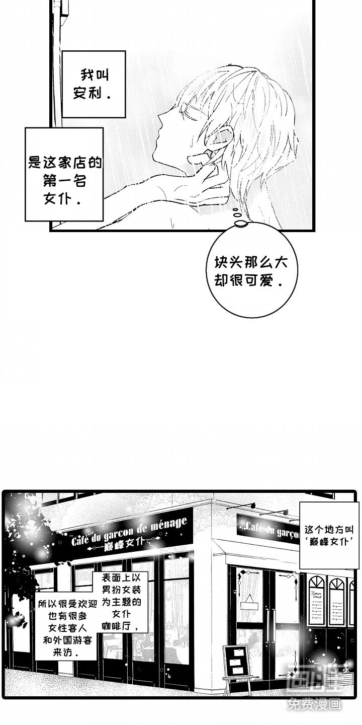 第5章：很专业