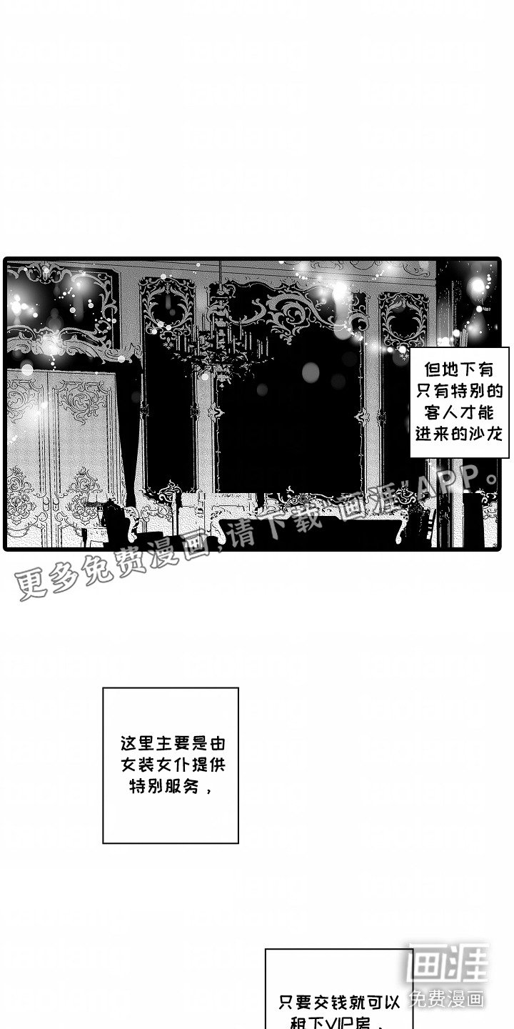 第5章：很专业