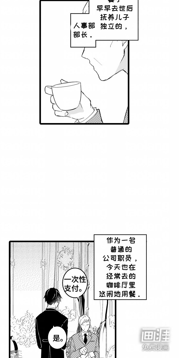 第8章：观看