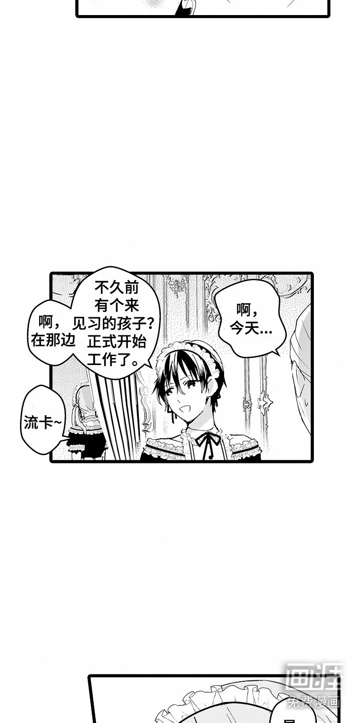第8章：观看
