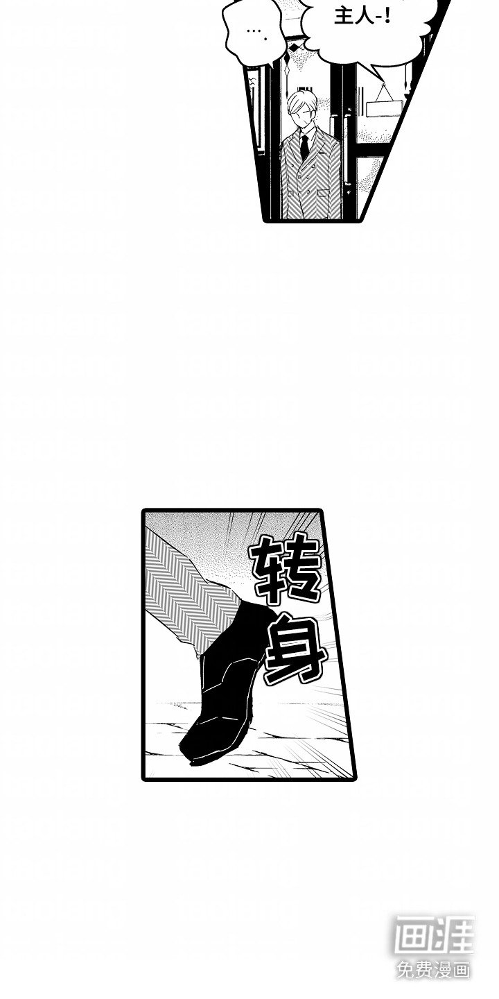 第8章：观看