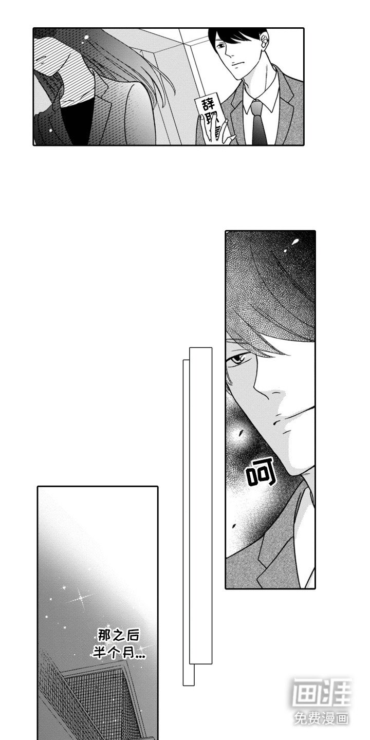 第11章：辞职