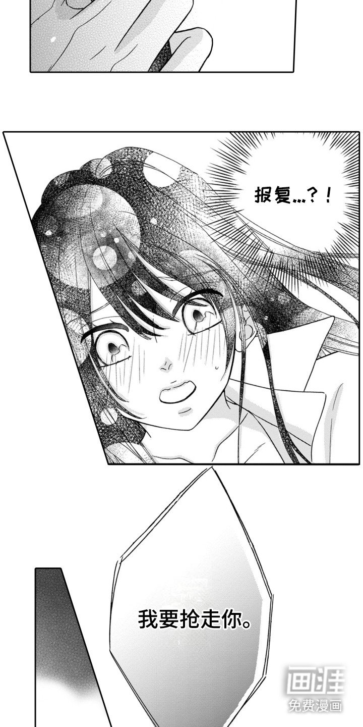 第3章：他的报复