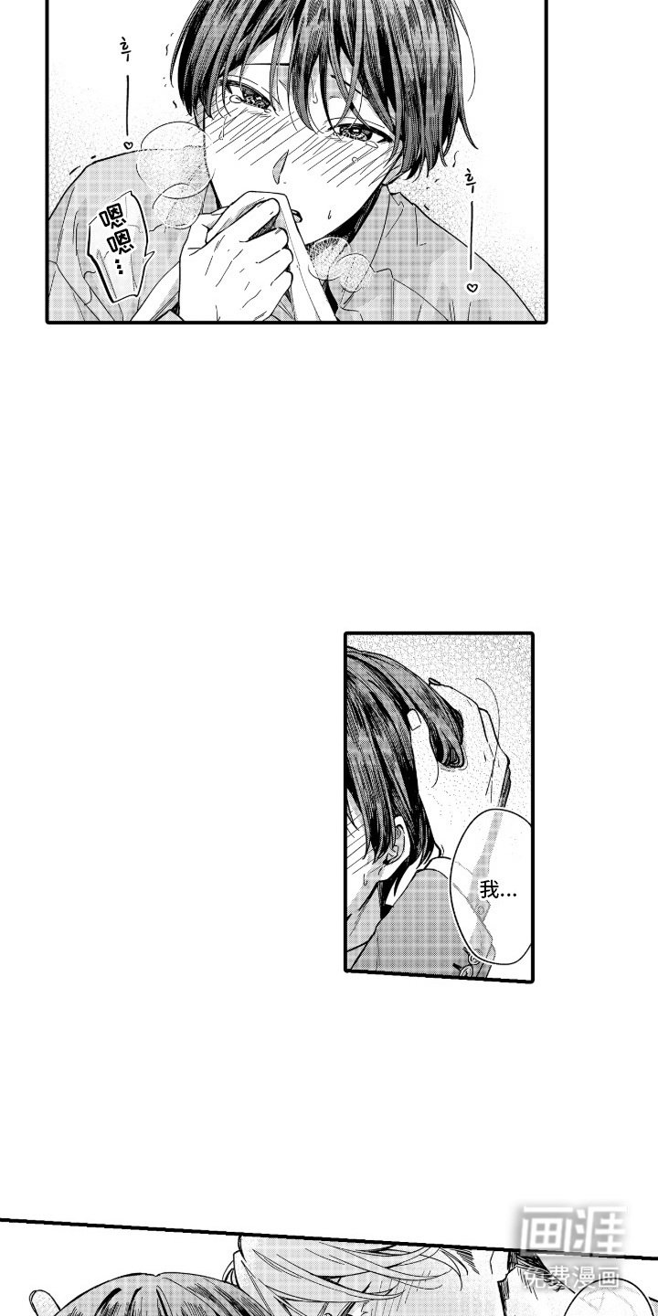 第14章：特别的情感