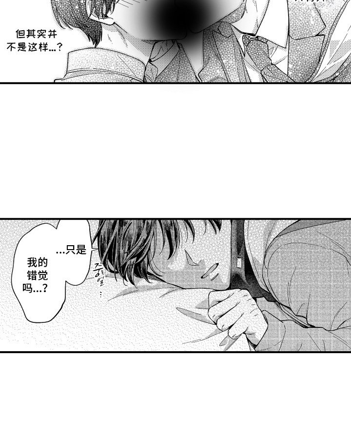 第16章：错觉