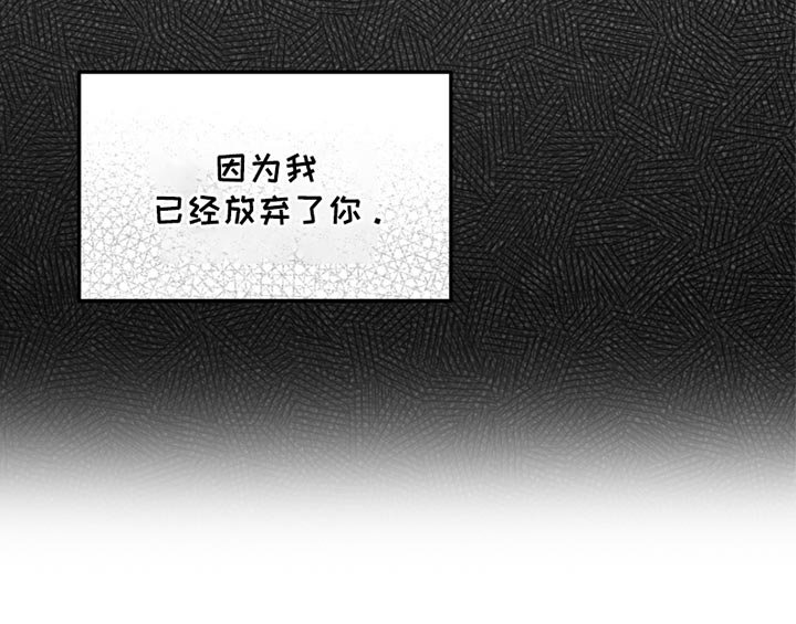 第25章：我已经放弃了你