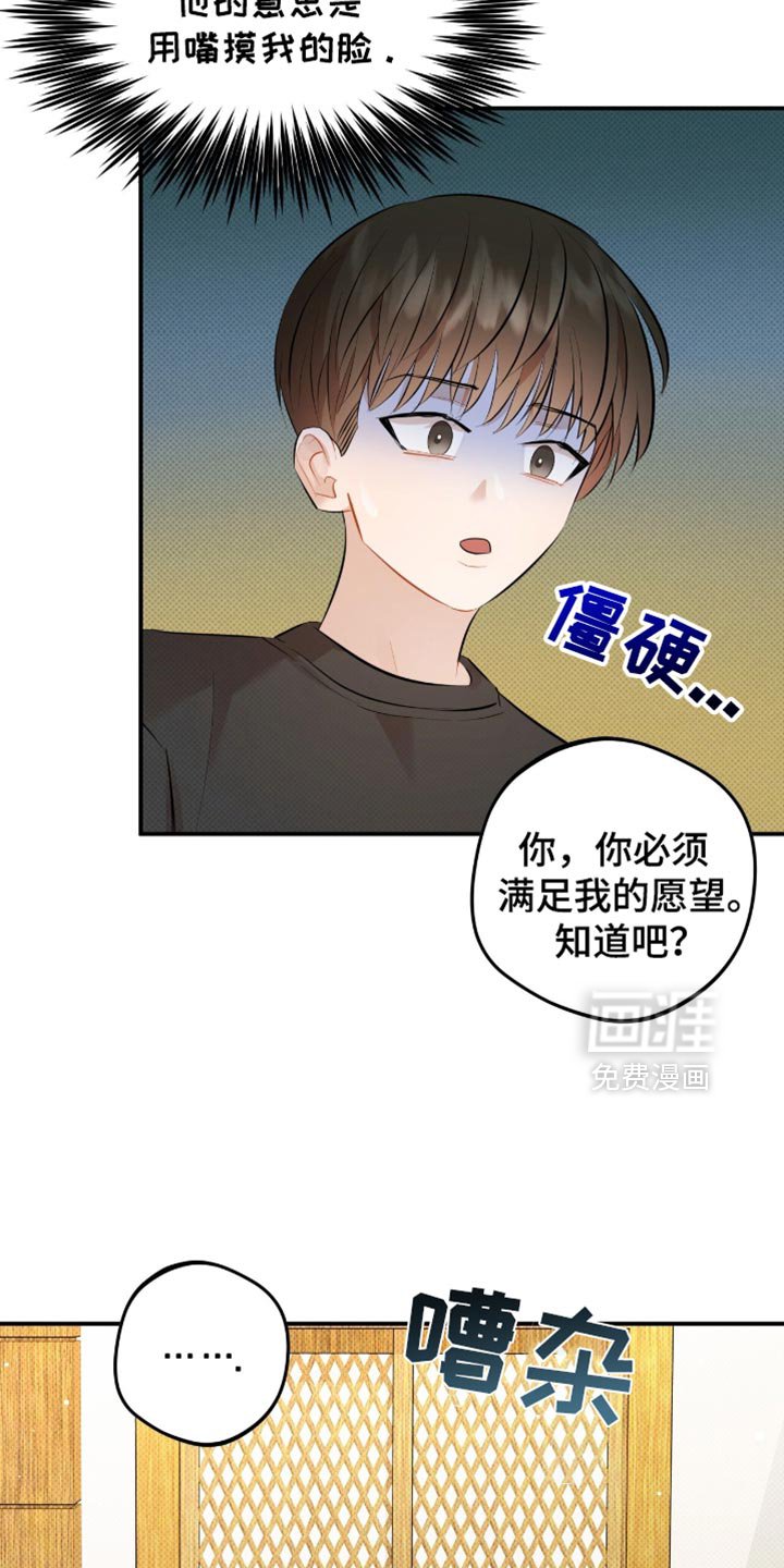 第28章：必须满足我的愿望