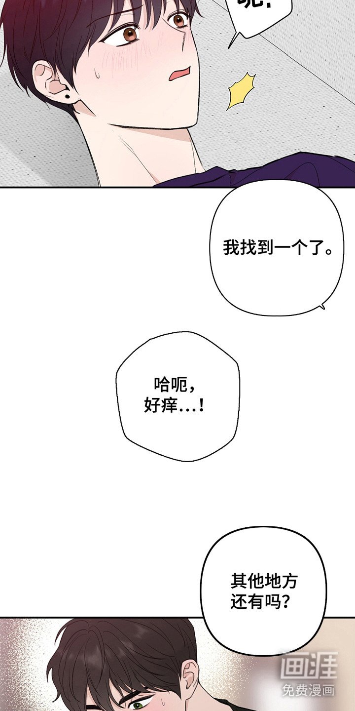 第4章：照片