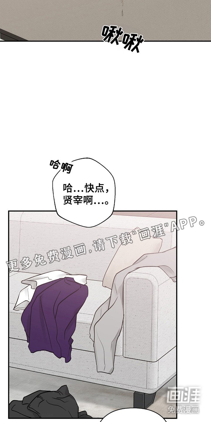 第4章：照片