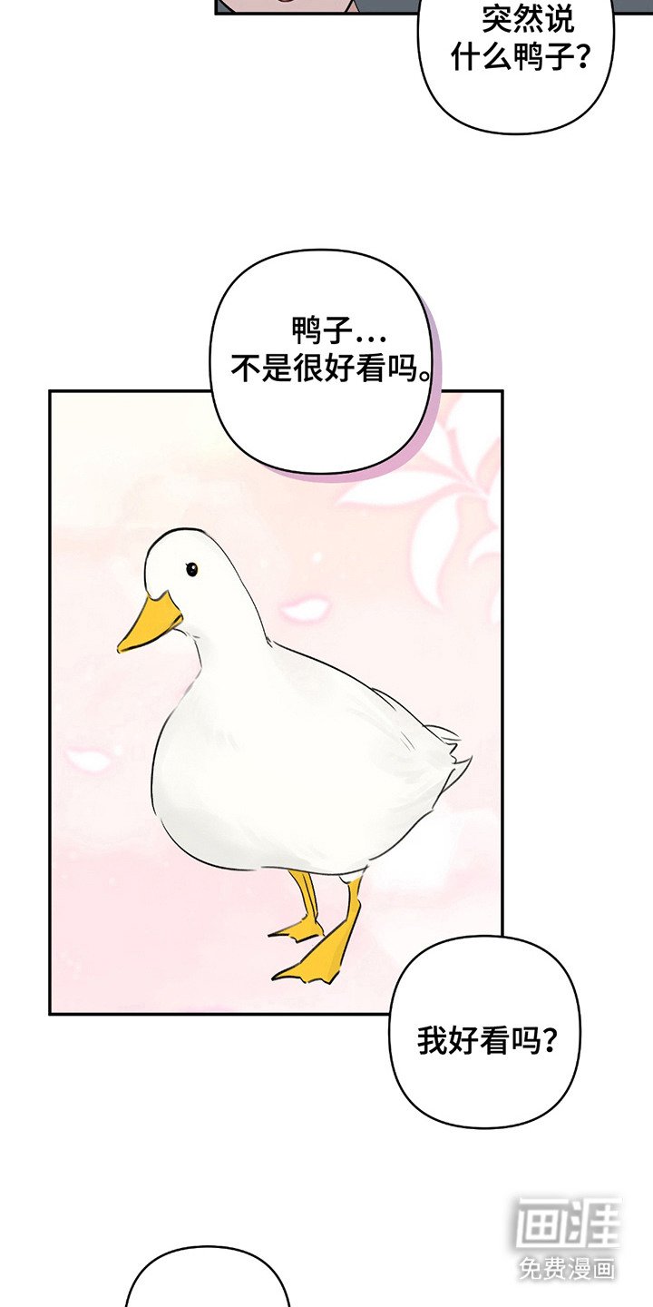 第8章：睡着了
