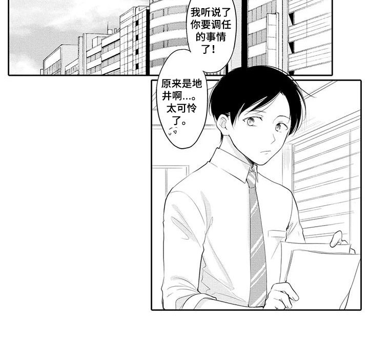 第15章：决定
