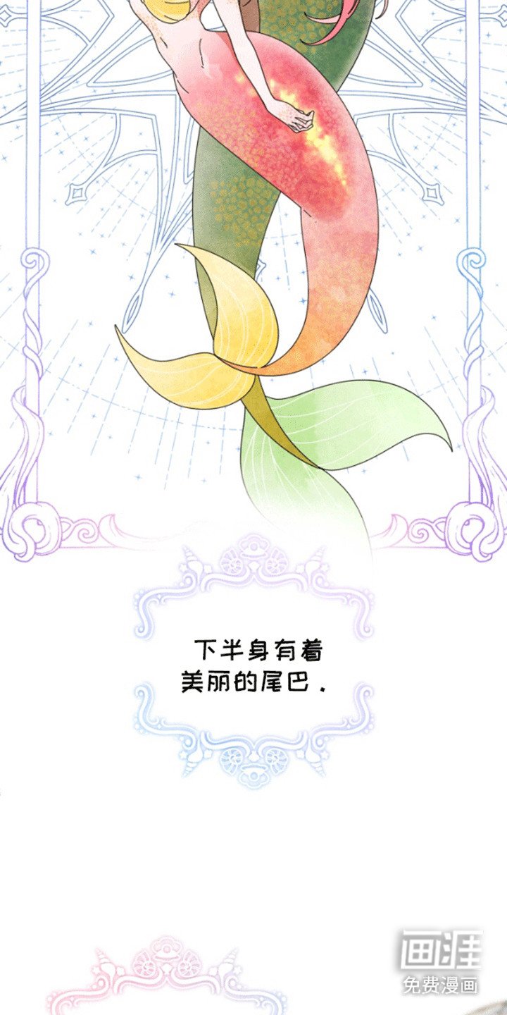 第1章：人鱼的眼泪
