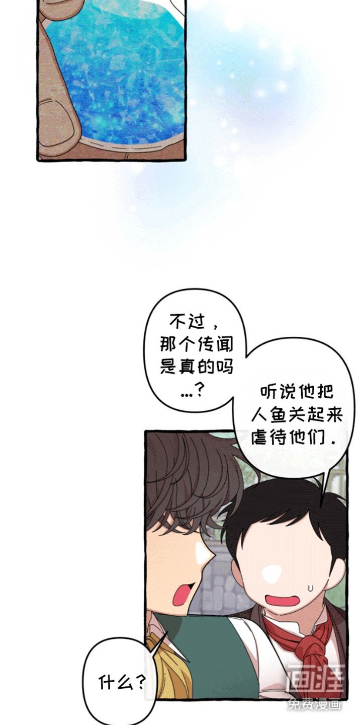 第1章：人鱼的眼泪