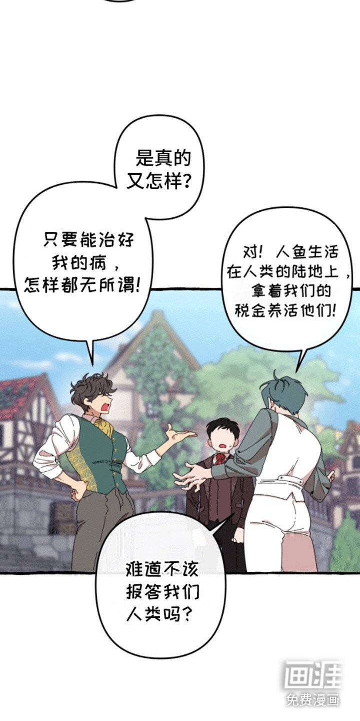 第1章：人鱼的眼泪
