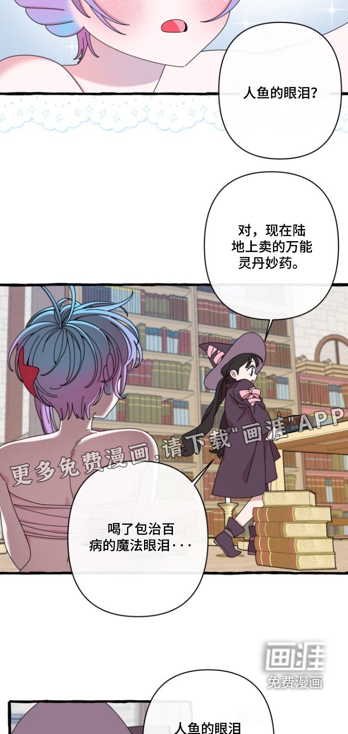 第12章：没有流眼泪