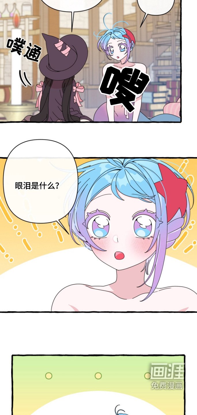 第12章：没有流眼泪