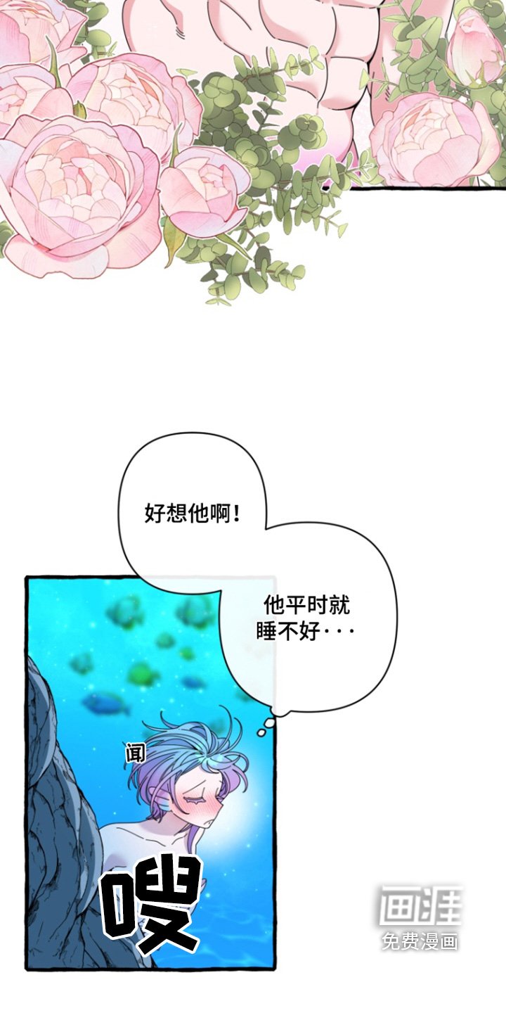 第13章：我们回家吧