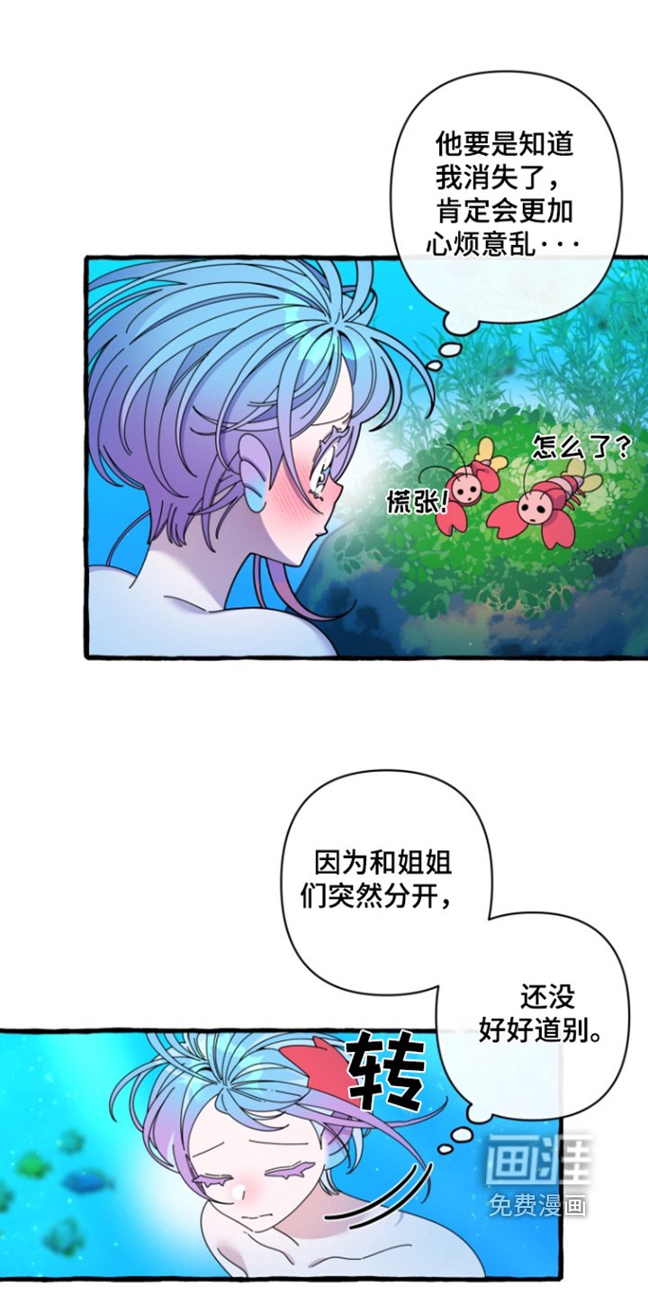 第13章：我们回家吧