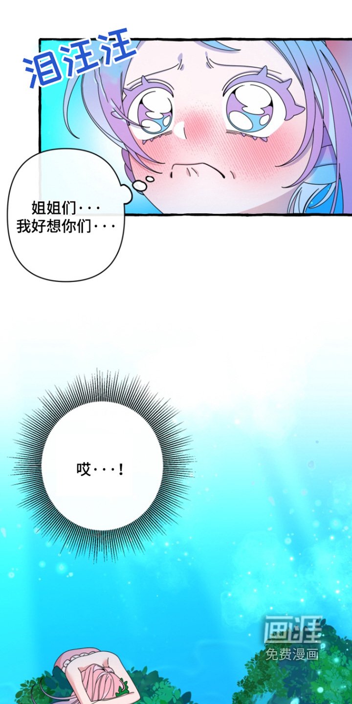 第13章：我们回家吧