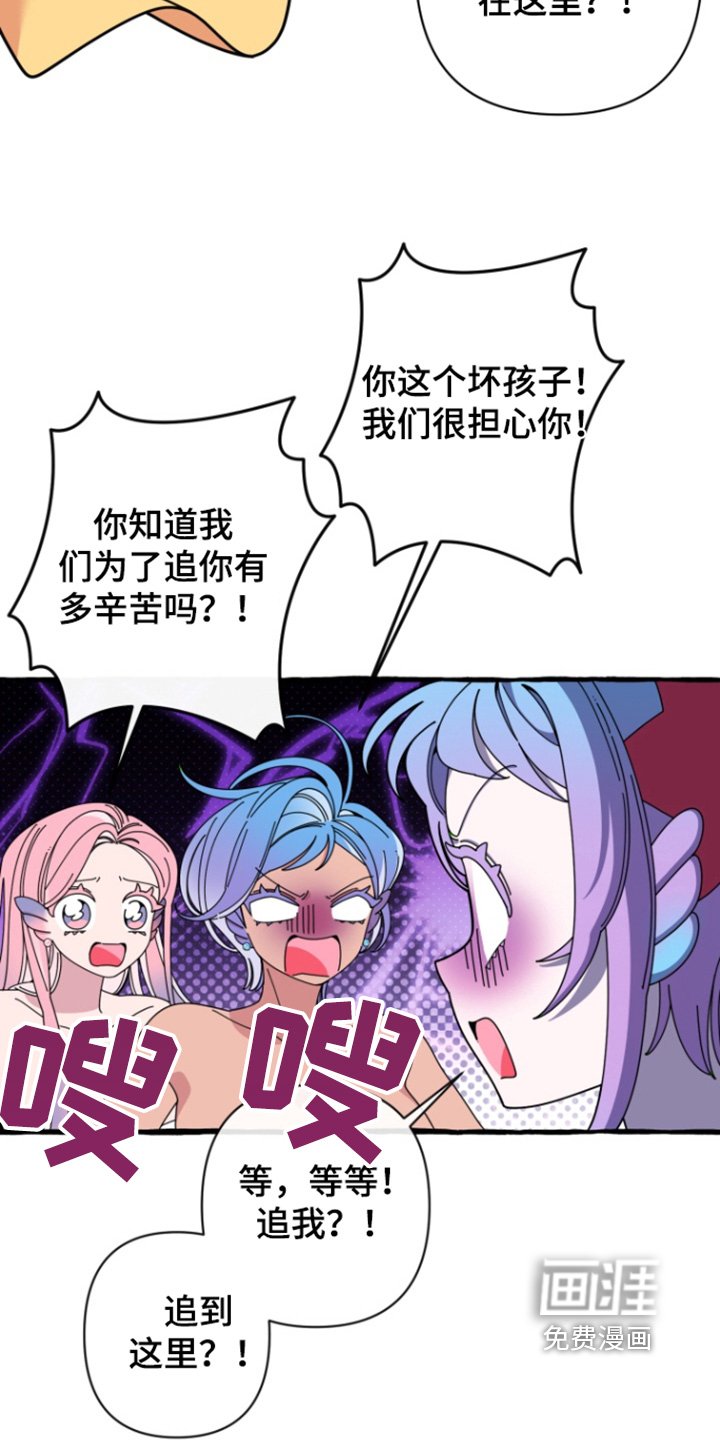 第13章：我们回家吧