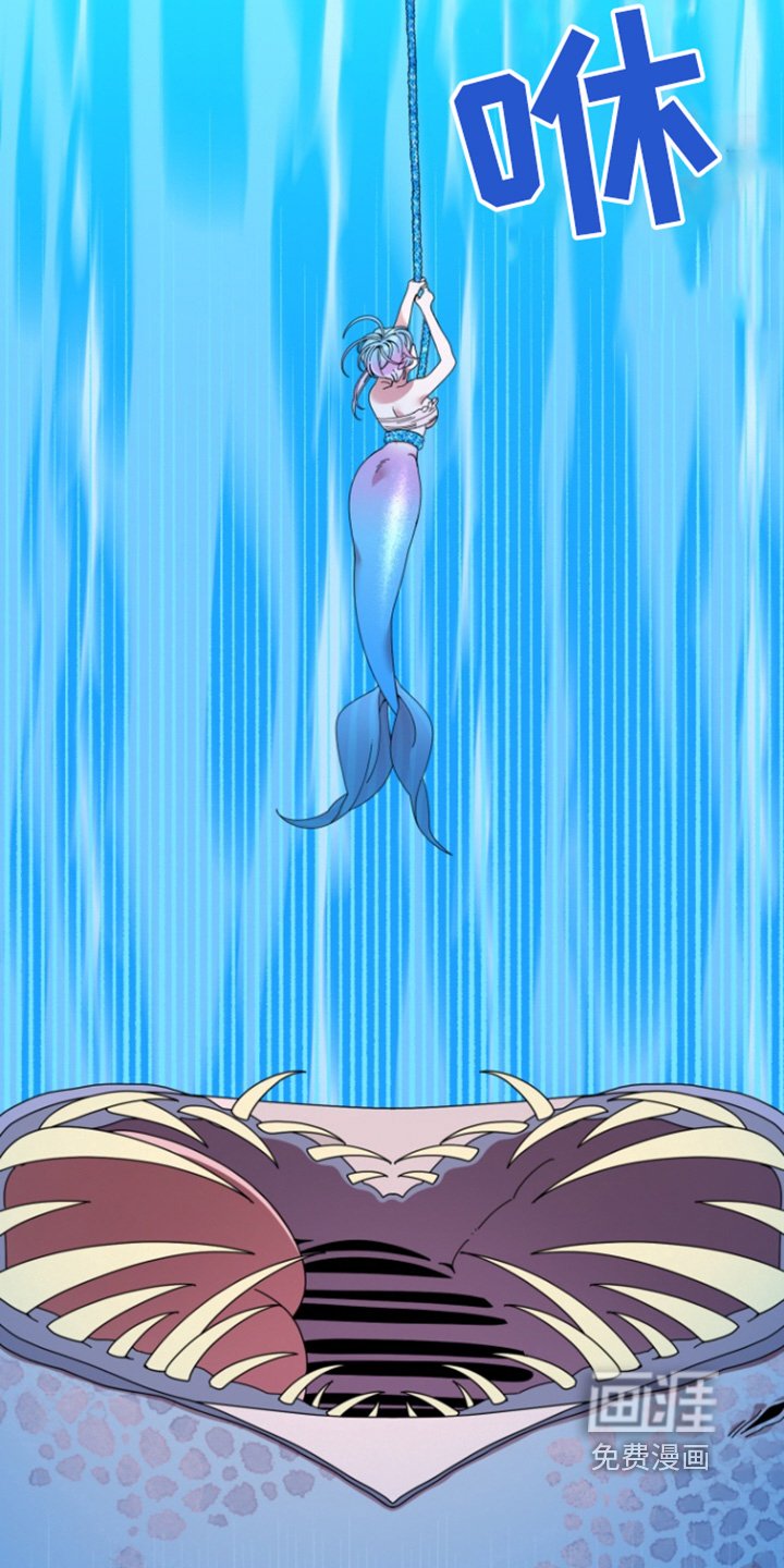 第14章：大鱼