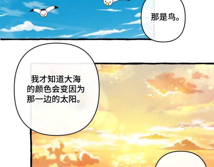 第17章：好奇