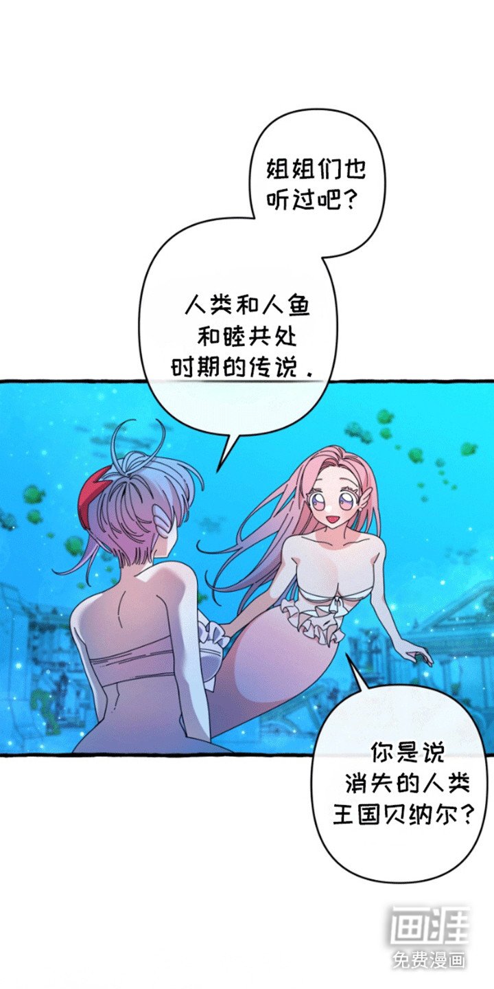 第4章：钓鱼