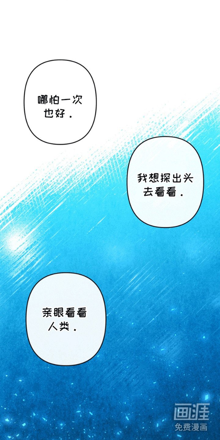 第4章：钓鱼