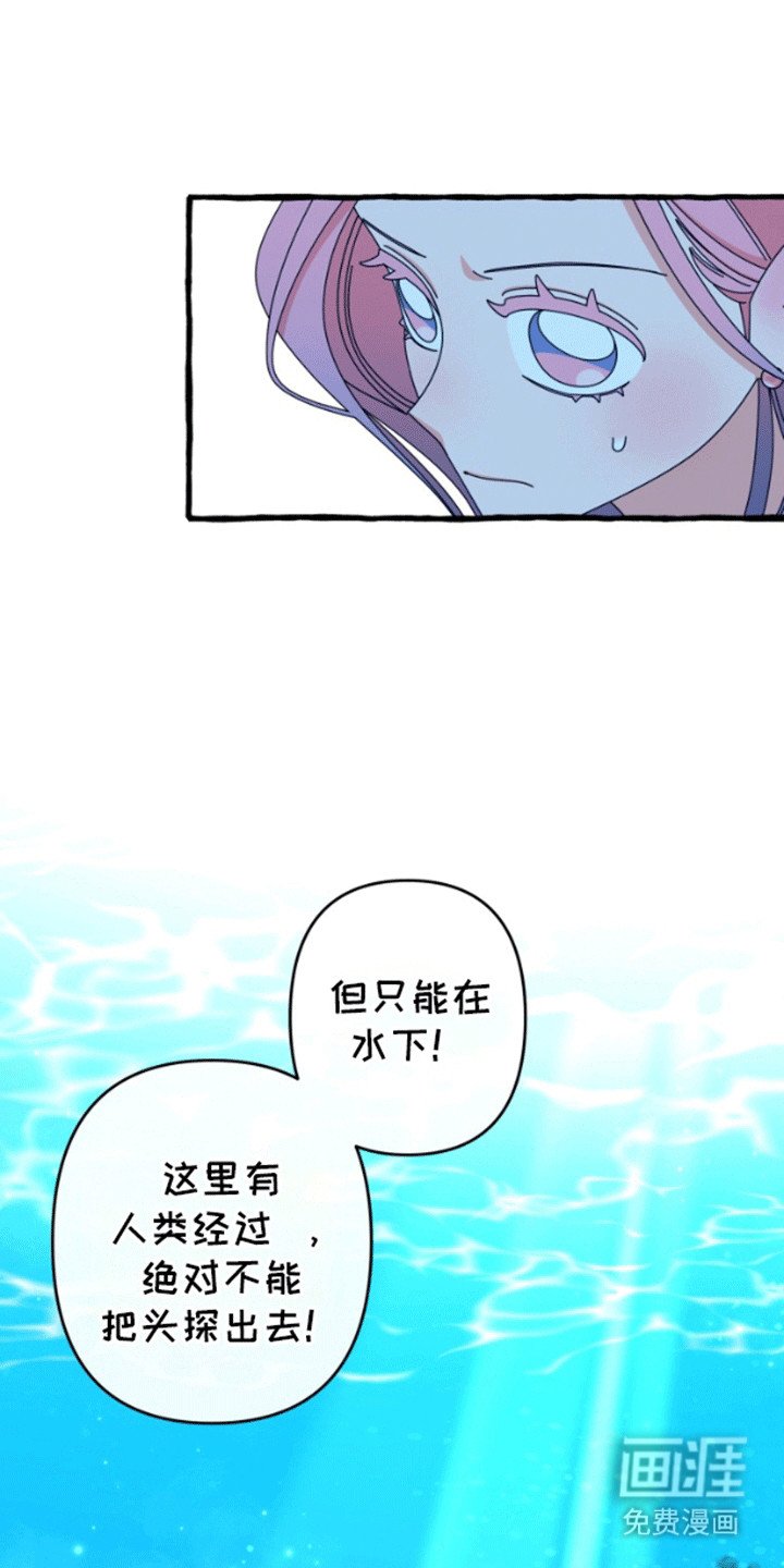 第4章：钓鱼