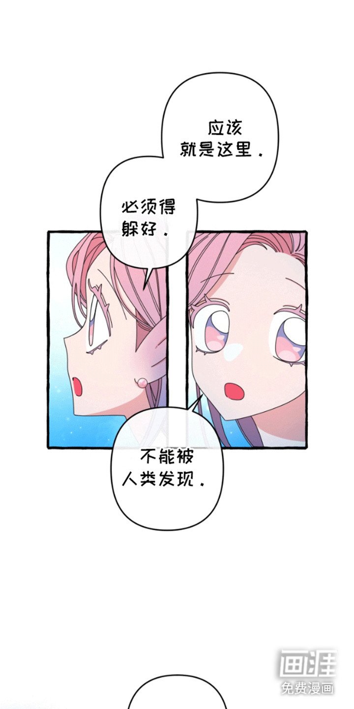第4章：钓鱼