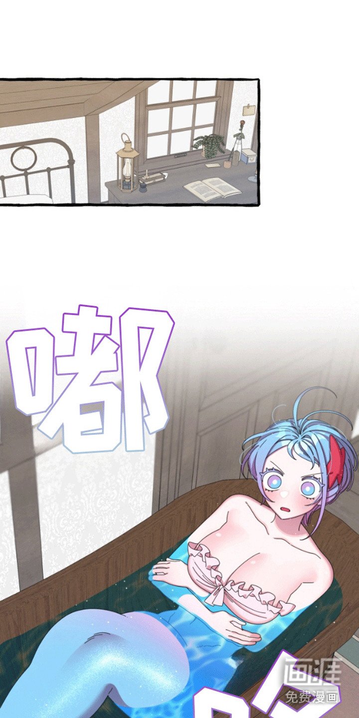 第6章：交换