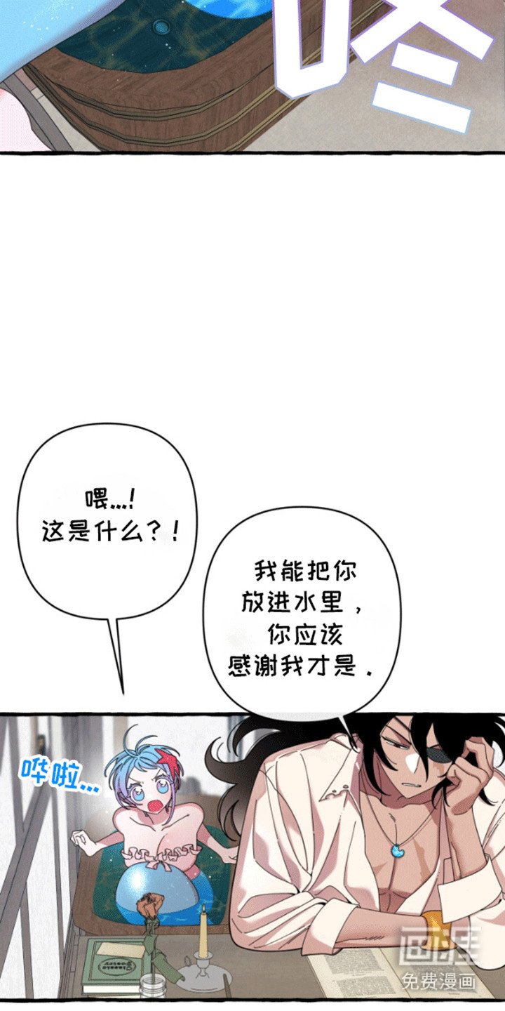 第6章：交换
