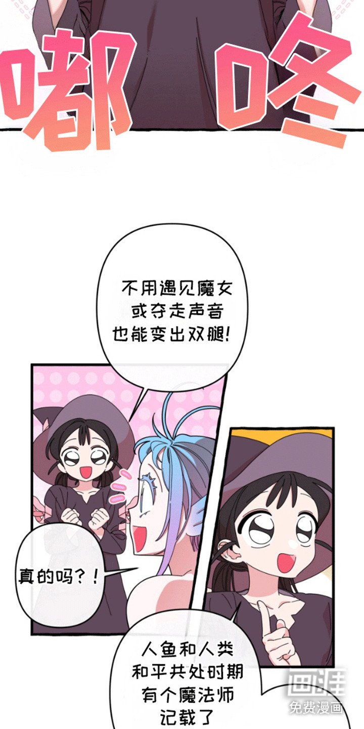 第7章：魔法师
