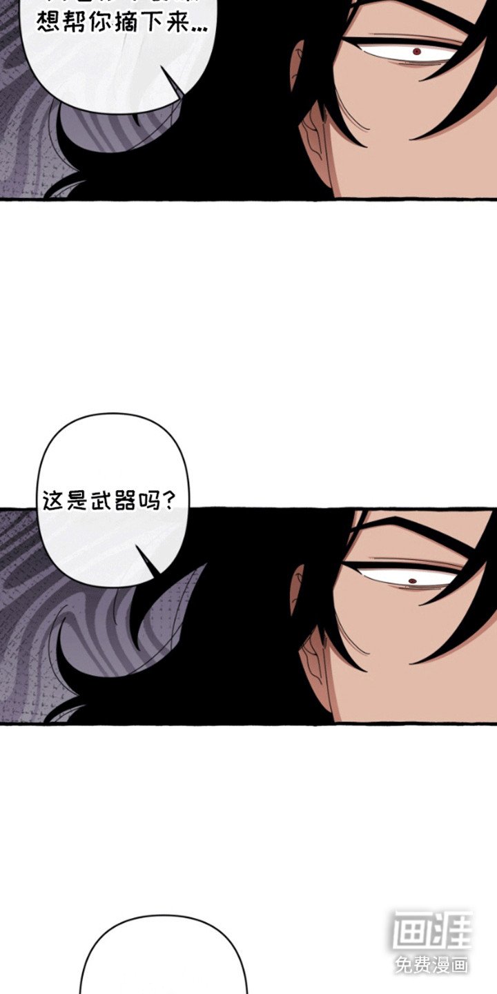 第9章：试验成功
