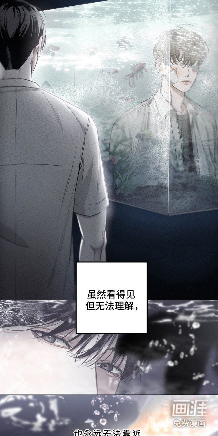 第1章：暗恋对象