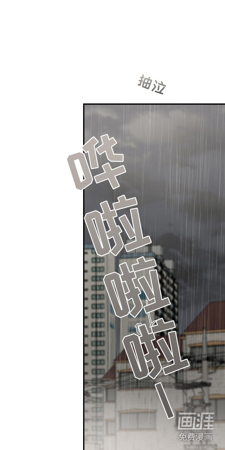第14章：道歉