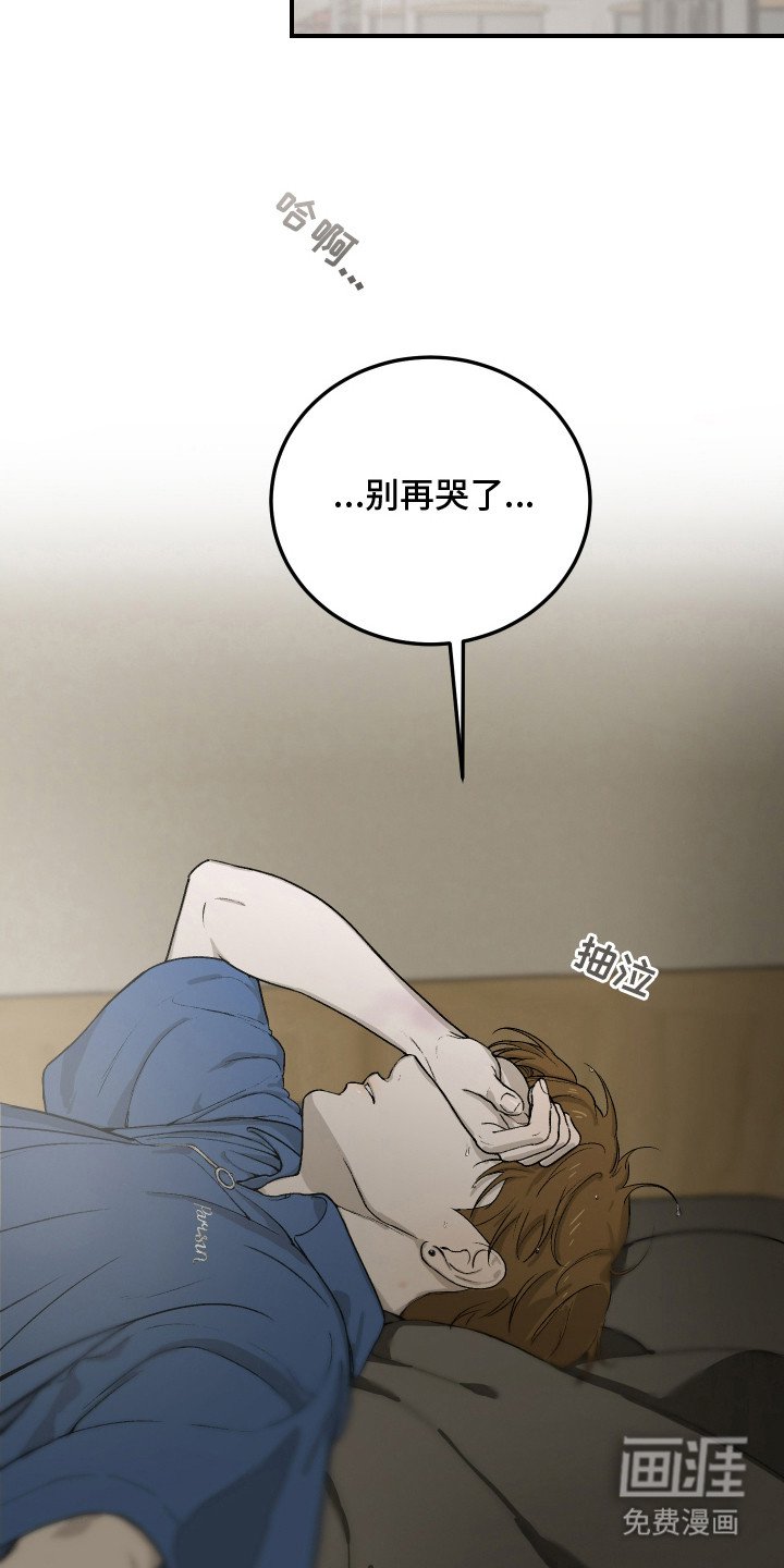 第14章：道歉