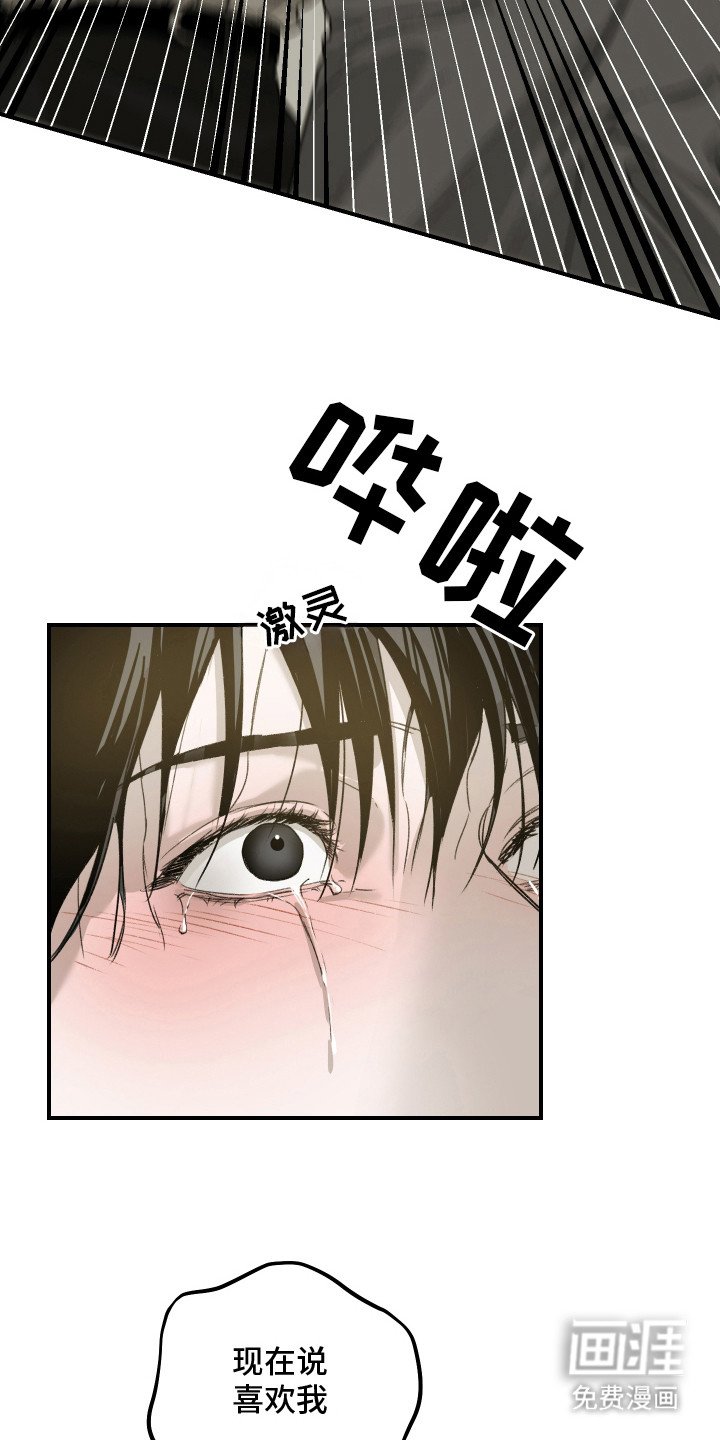 第15章：表白
