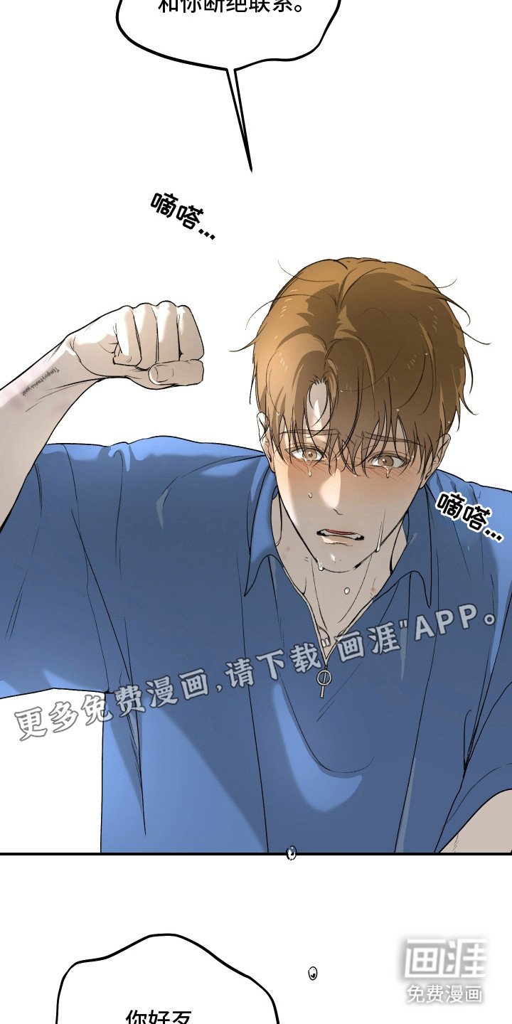 第15章：表白