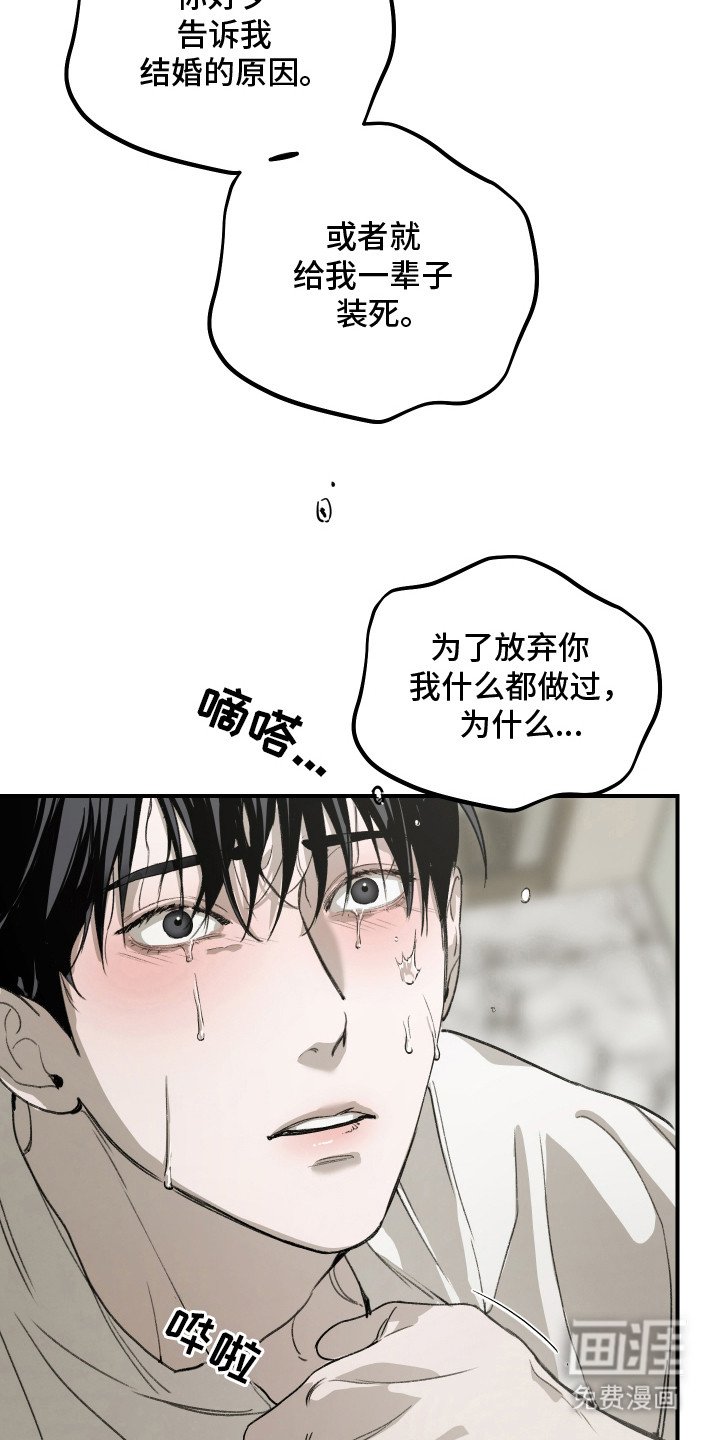 第15章：表白