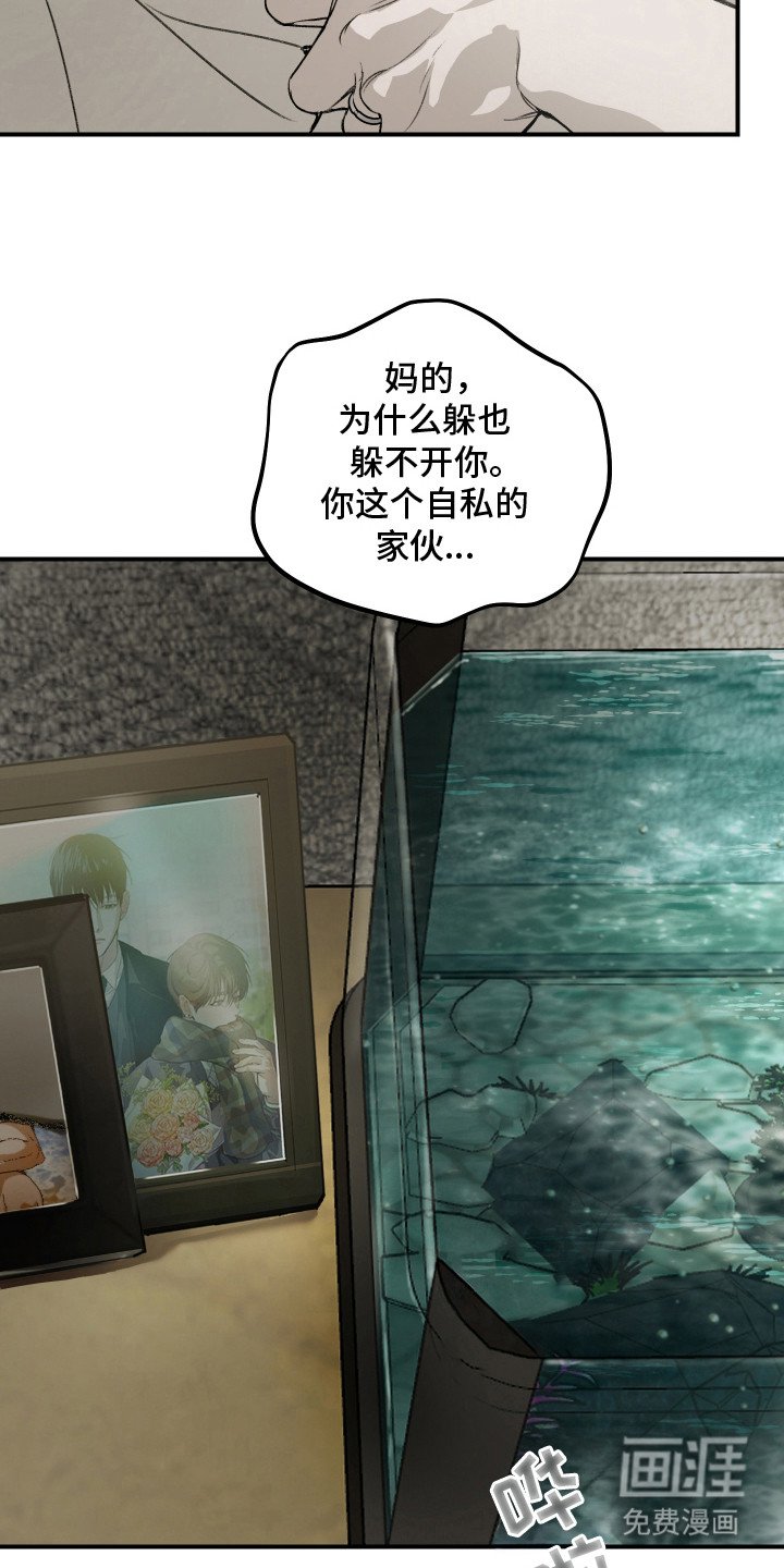 第15章：表白