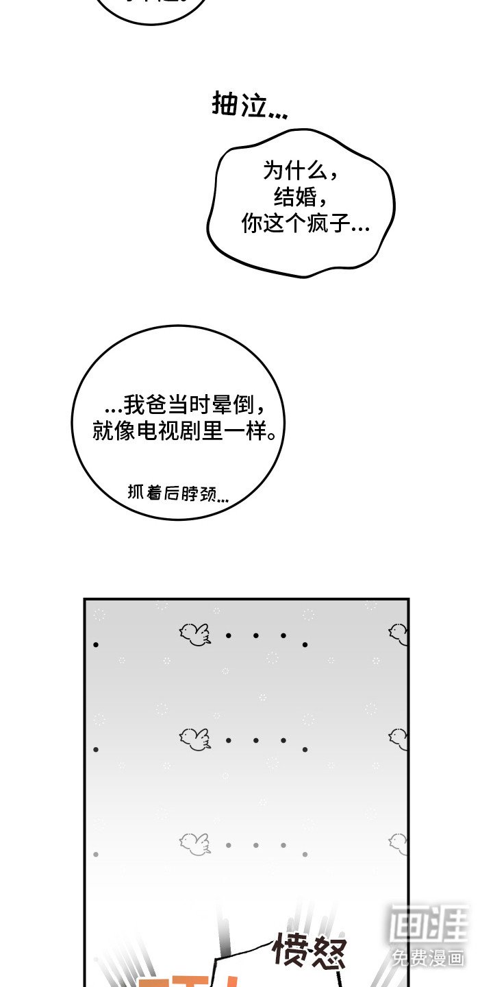 第15章：表白