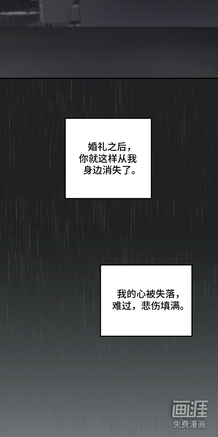 第20章：【番外】陷入爱情