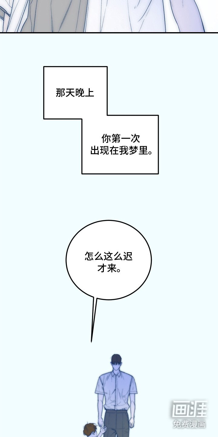 第20章：【番外】陷入爱情